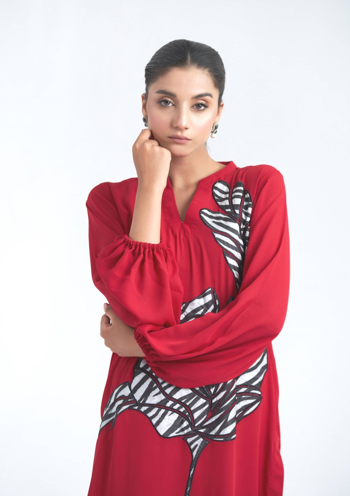 embroidered georgette co-ord 2 pc